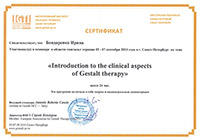 «Introduction to the clinical aspects of Geshtalt therapy», 24 часа